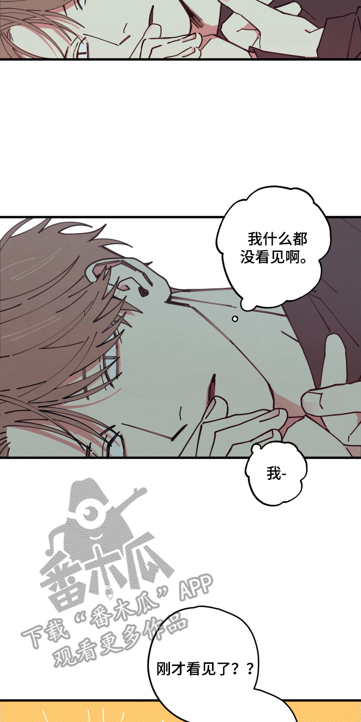 第4章：我看见了什么0