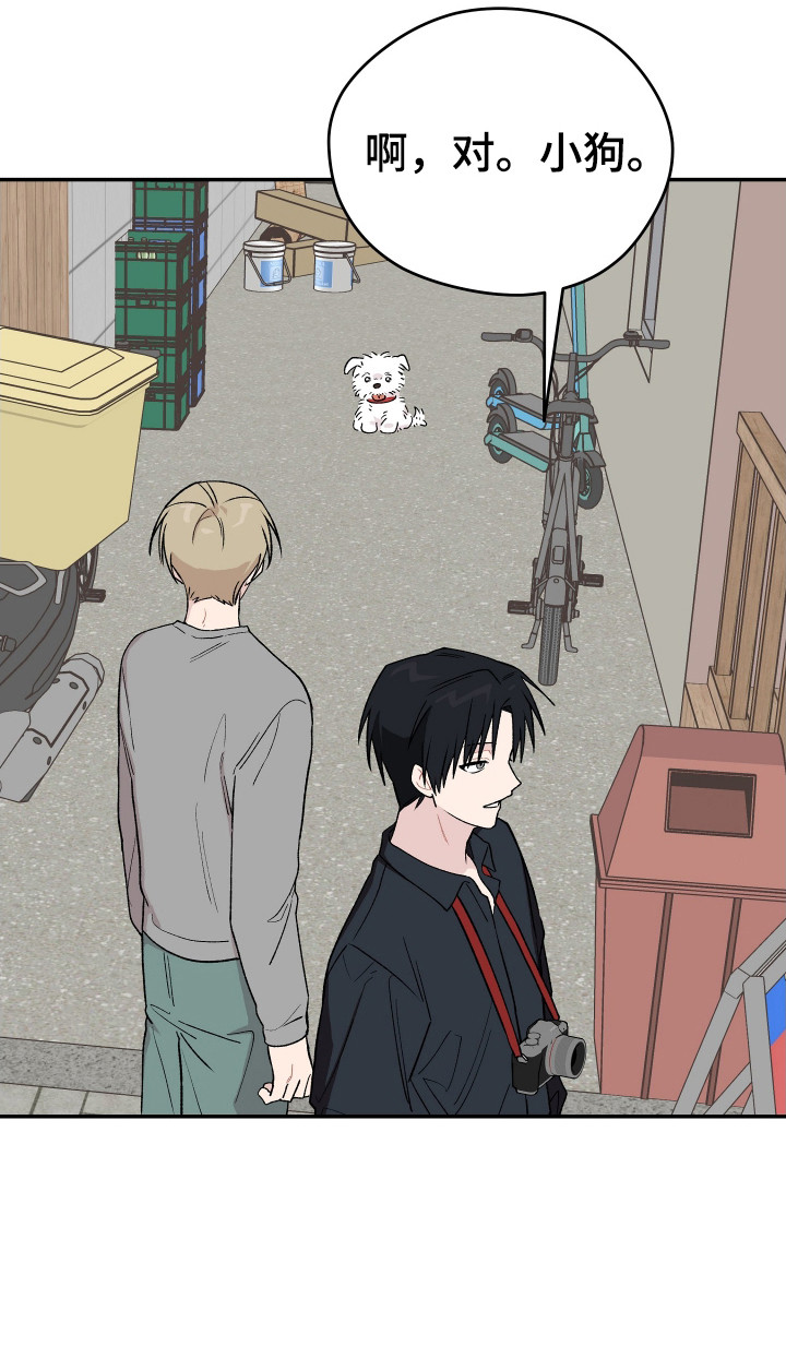 学渣课桌翻新教程漫画,第22章：转换心情3图