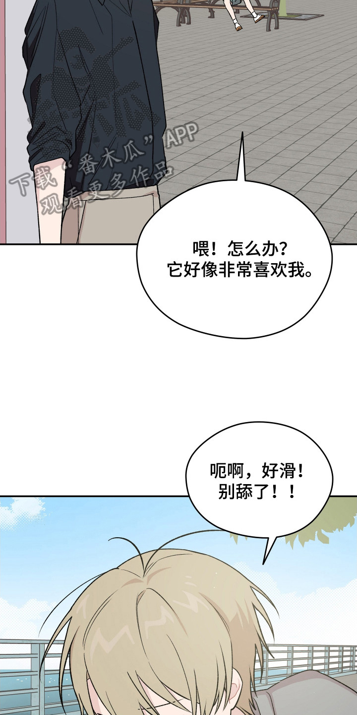 学渣如何改造漫画,第23章：小狗5图
