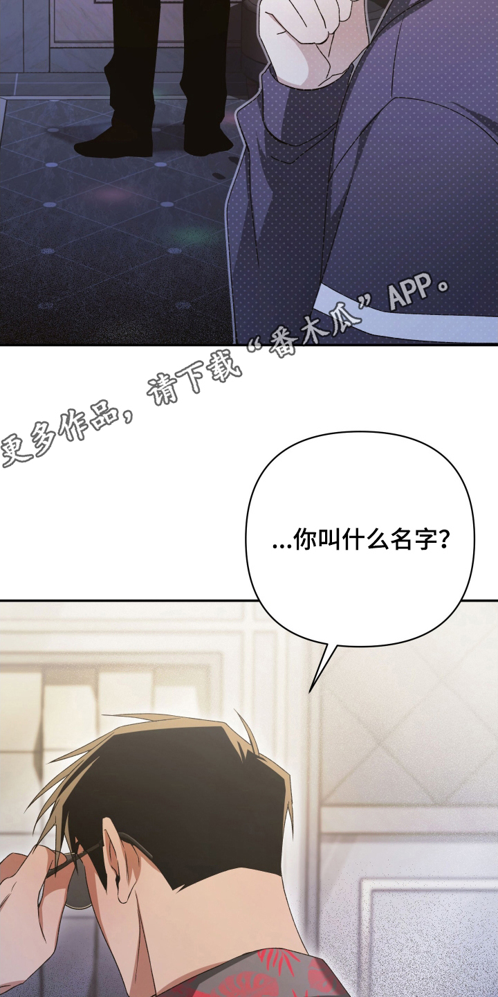 绝对复仇宣言人物介绍漫画,第5章：大哥5图