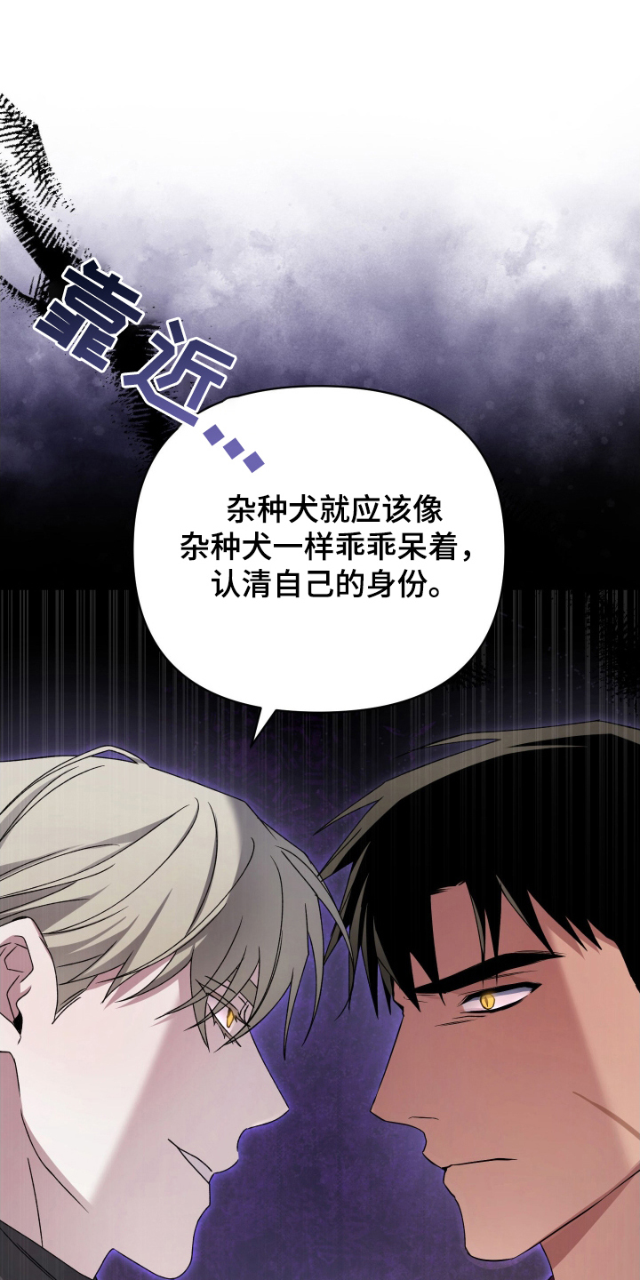 决绝复仇叶小白漫画,第13章：老眼昏花5图