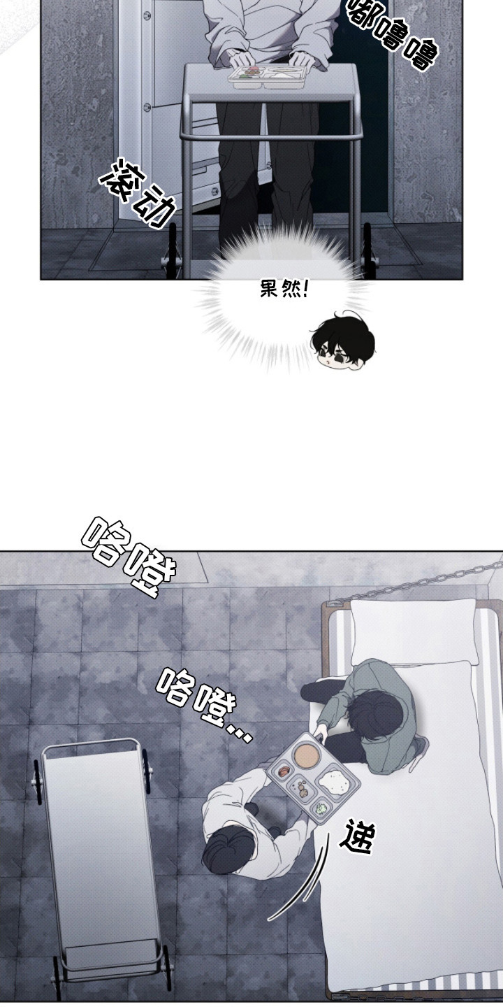 物种的演变过程漫画,第3章：新冠军5图