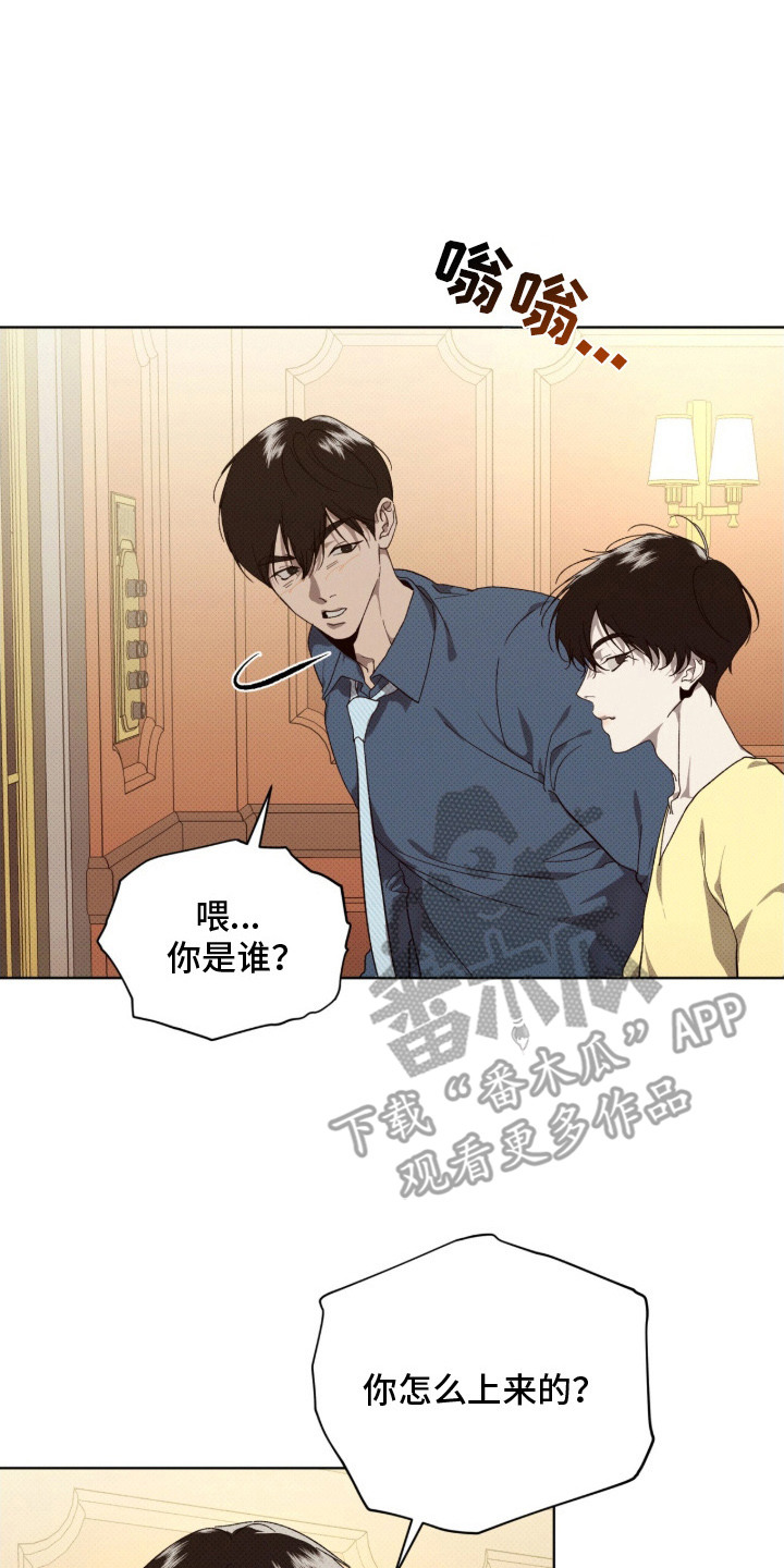 物种起源达尔文漫画,第15章：理清思路3图