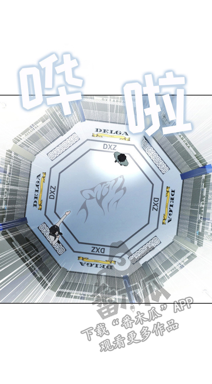 物种的进化漫画,第1章：地下拳击场3图