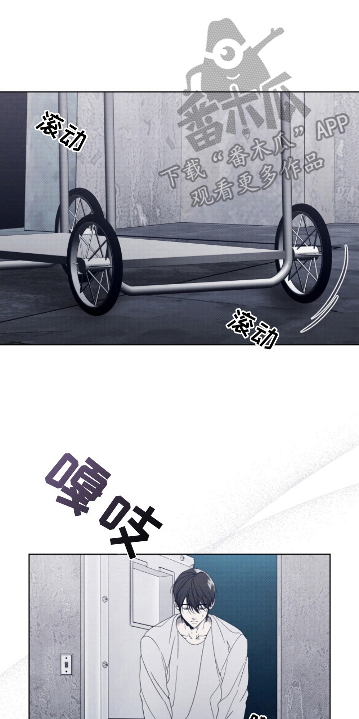 物种的演变过程漫画,第3章：新冠军4图