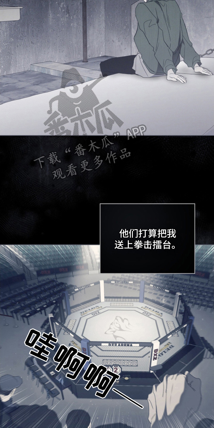 物种起源达尔文漫画,第4章：指点4图