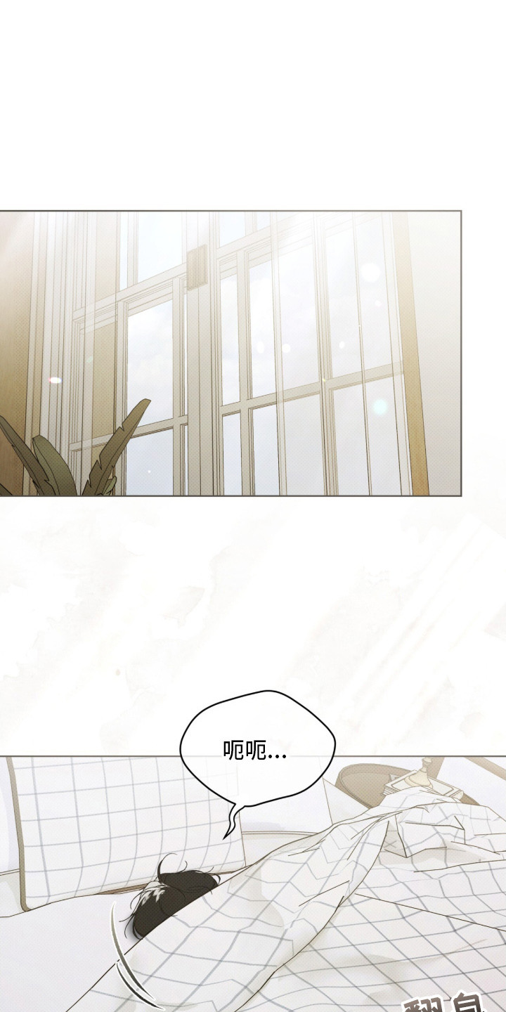 第15章：理清思路0