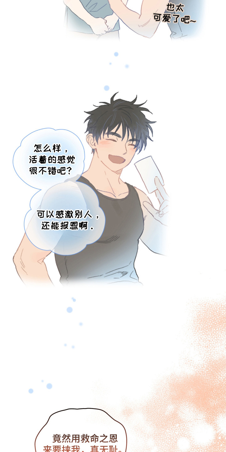 酸辣粉的家常做法漫画,第15章：发热期4图