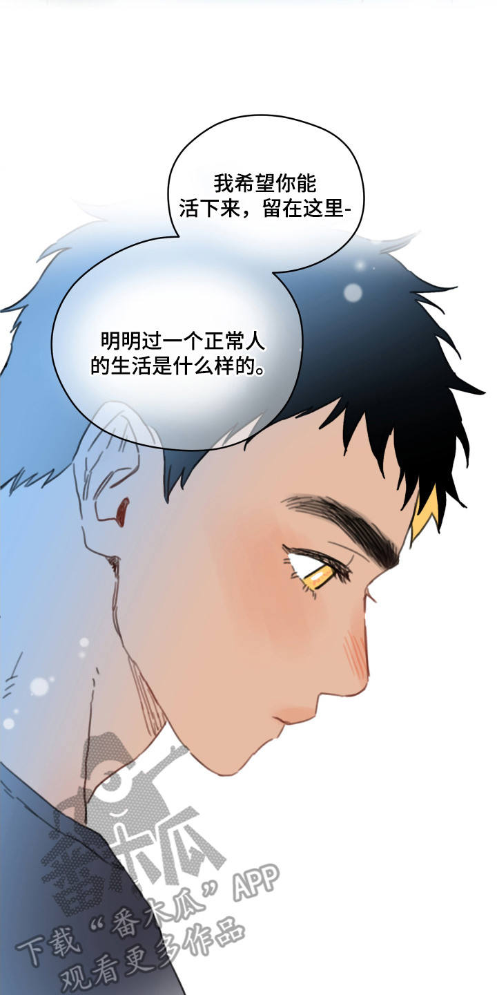 酸辣粉的家常做法漫画,第13章：局势逆转2图