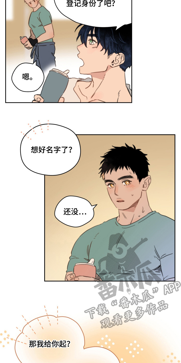 酸辣粉的家常做法漫画,第21章：名字5图