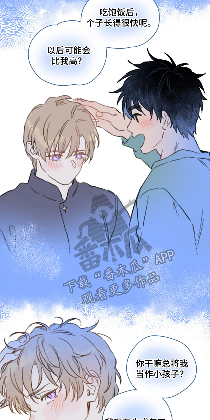 酸辣粉的家常做法漫画,第14章：负担5图