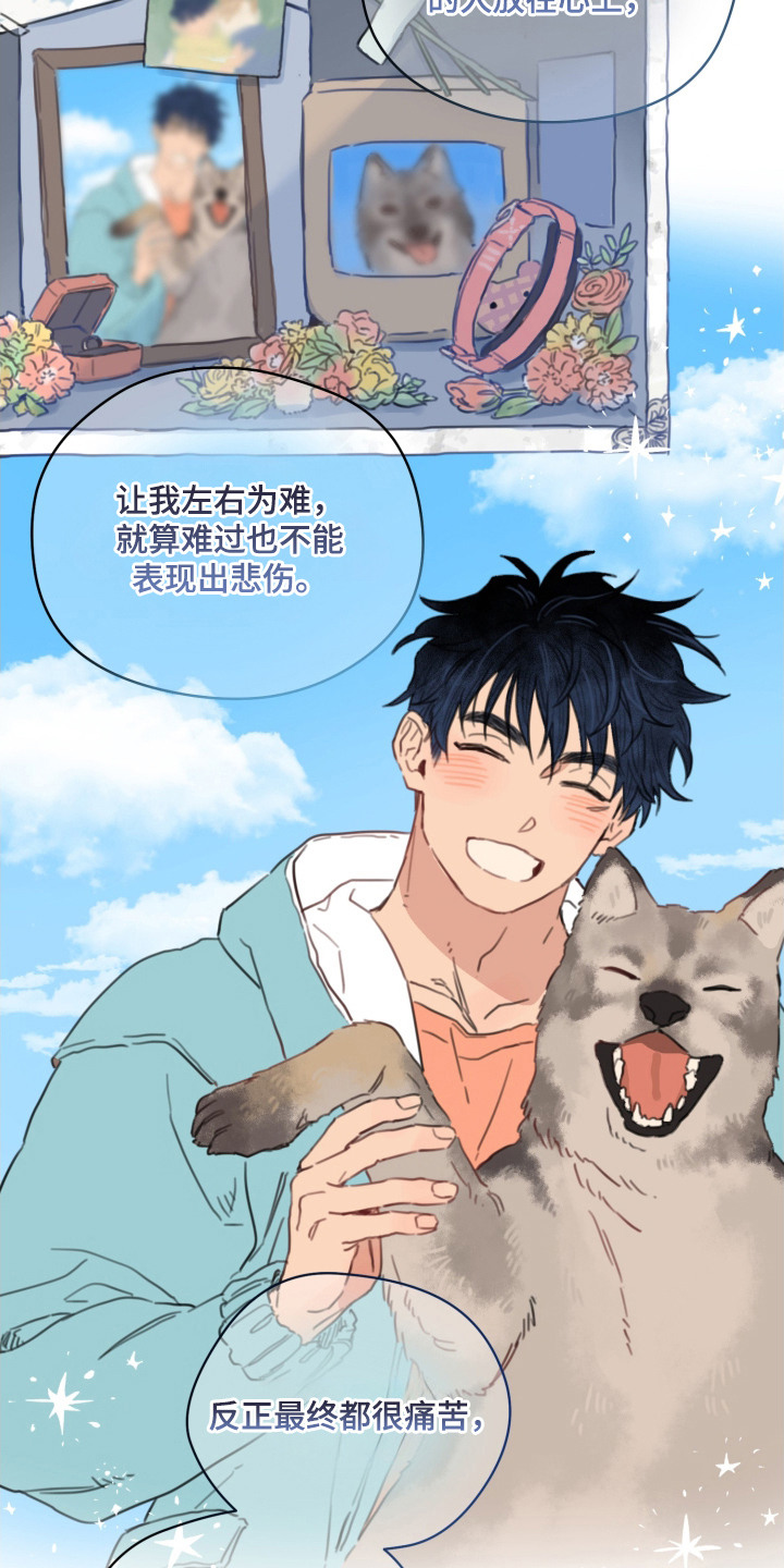 酸辣粉的家常做法漫画,第23章：怀念着（完结）5图