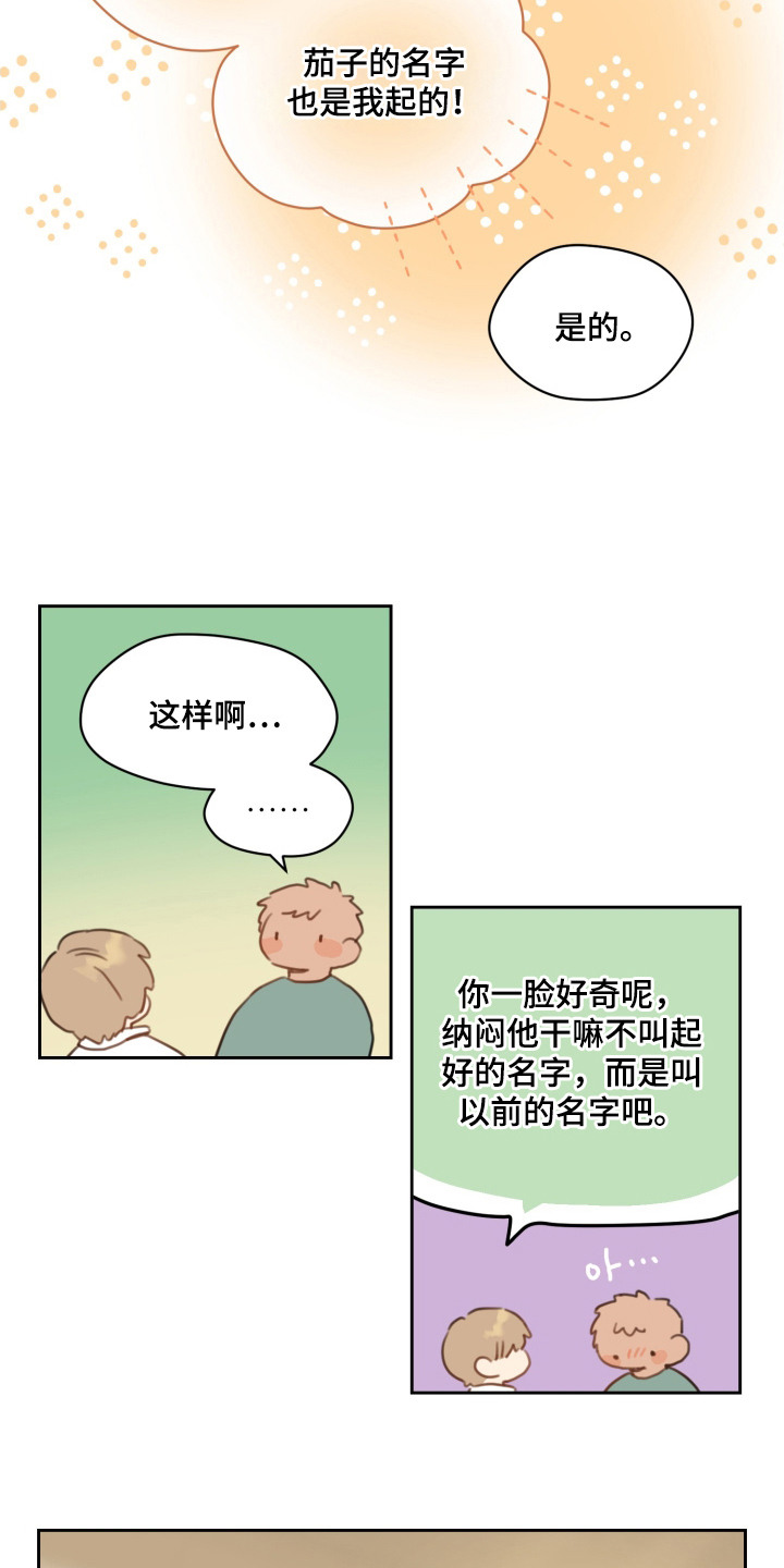 酸辣粉的家常做法漫画,第21章：名字1图