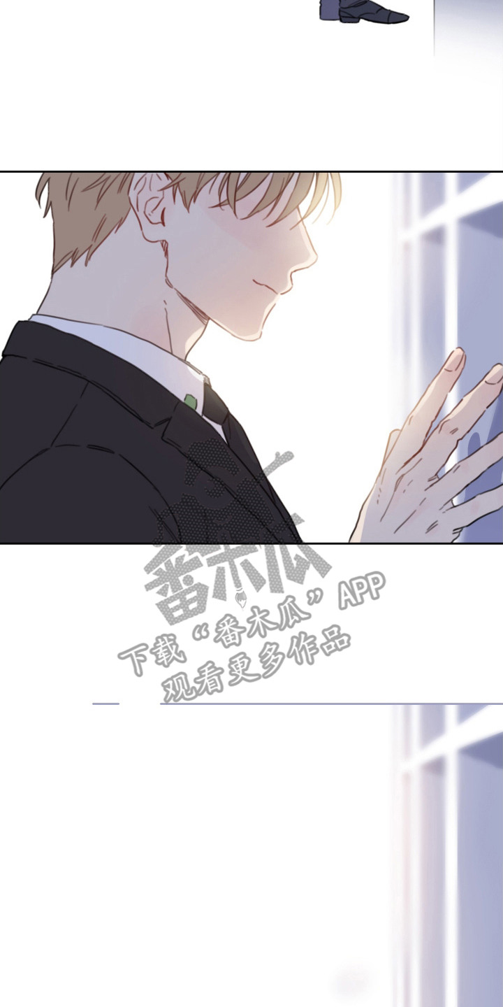 酸辣粉的家常做法漫画,第23章：怀念着（完结）2图