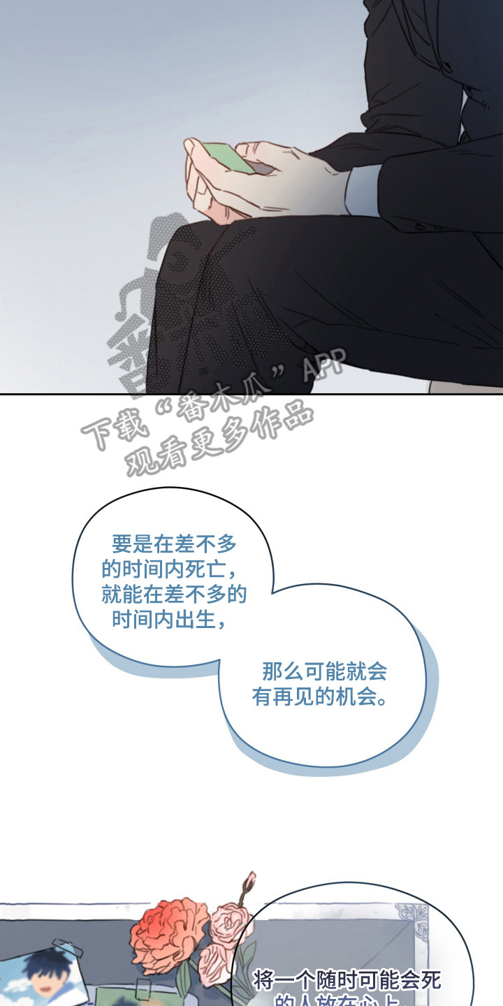 酸辣粉的家常做法漫画,第23章：怀念着（完结）4图