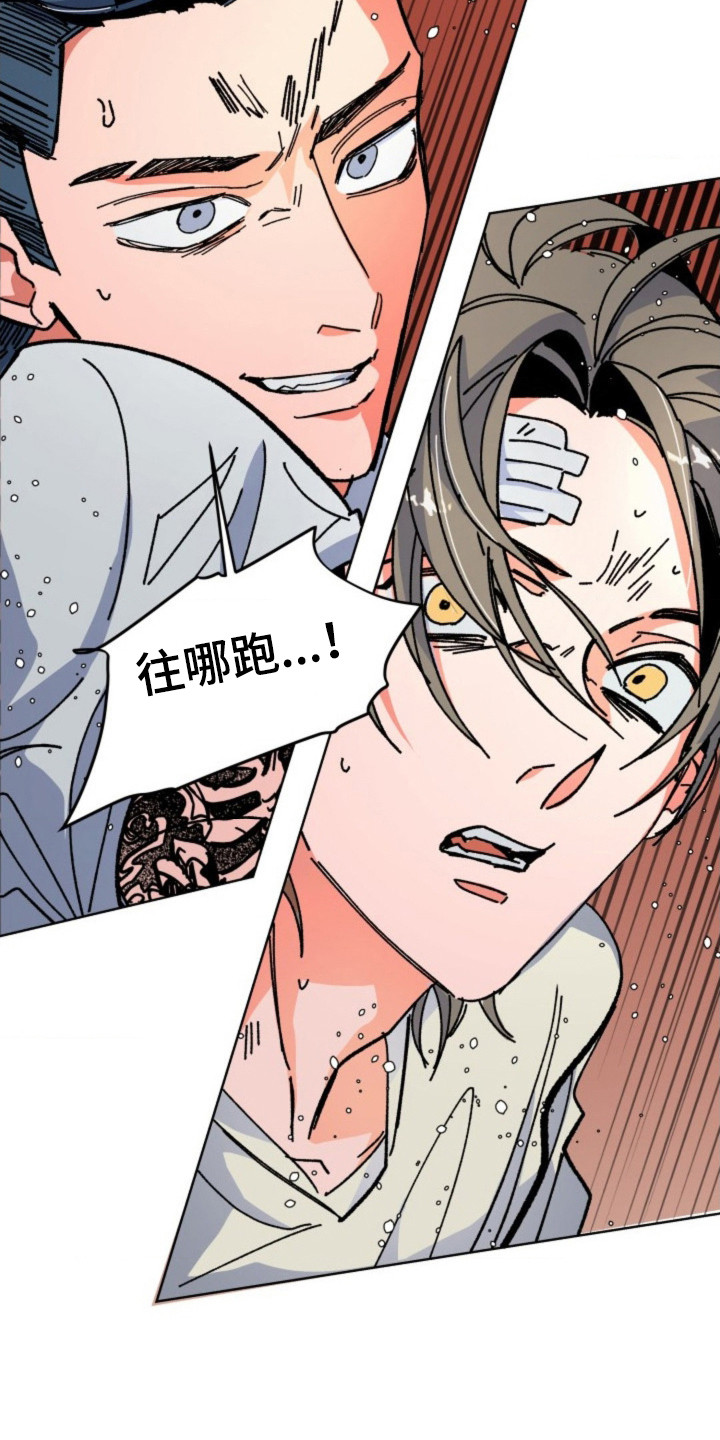 白夜废墟漫画人气如何漫画,第16章：逃跑4图