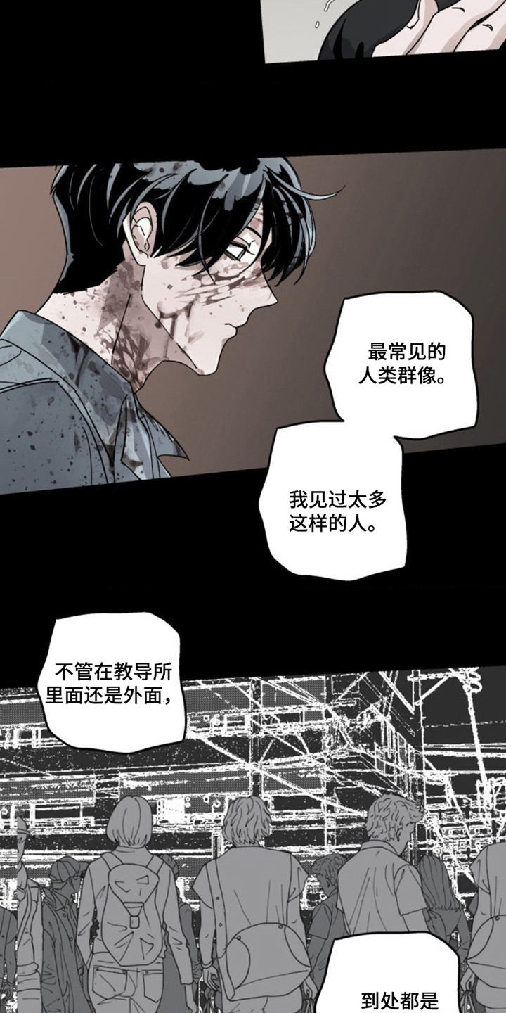 白色毒网漫画,第26章：资格5图