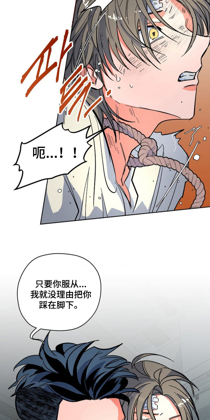 白夜废墟漫画人气如何漫画,第15章：一起行动1图