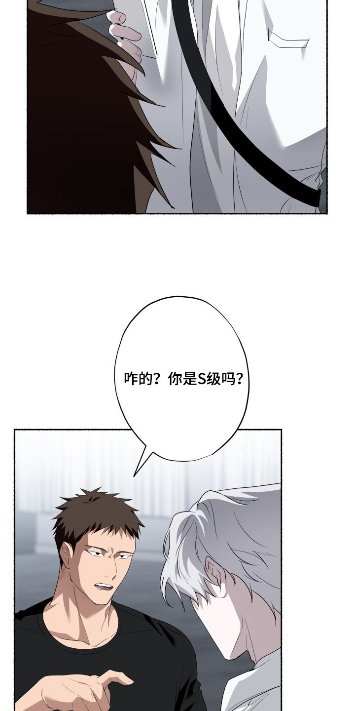 心跳共鸣漫画,第13章：限量收藏款1图