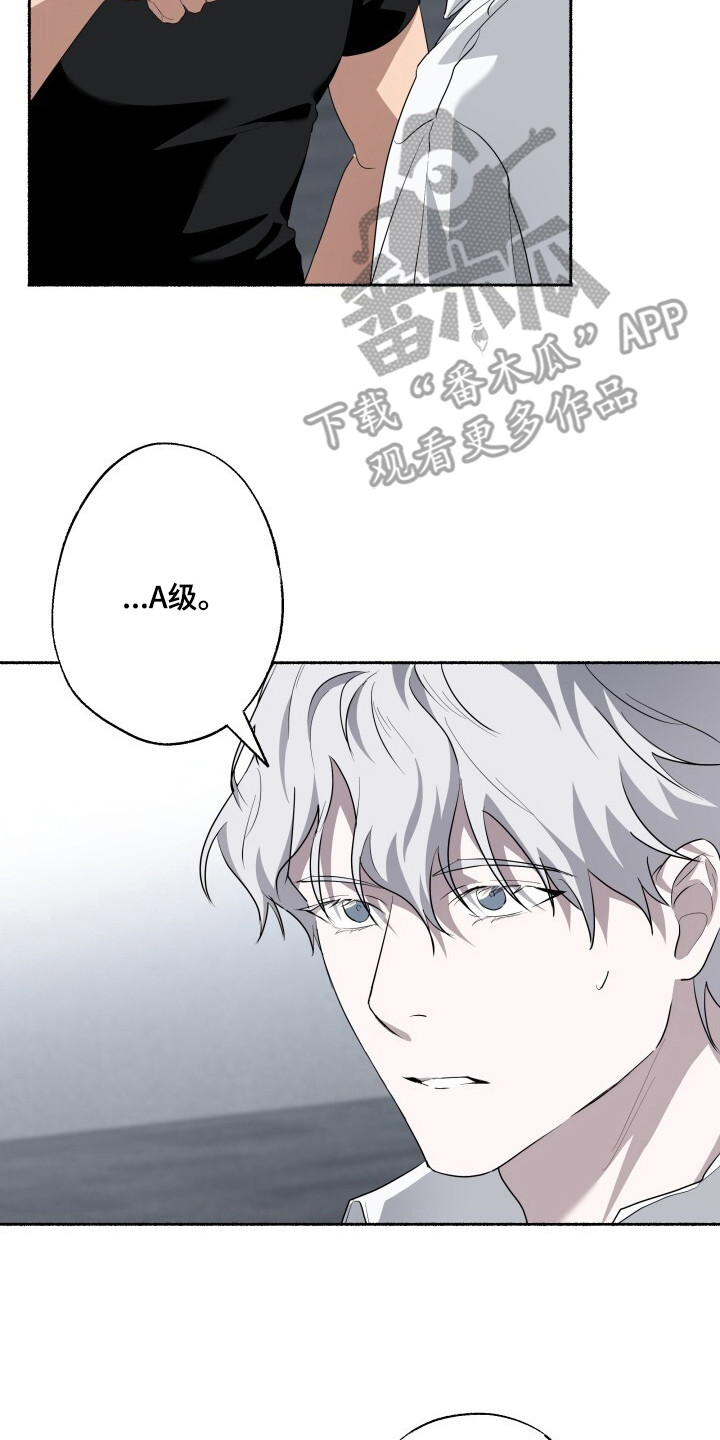 心跳共鸣漫画,第13章：限量收藏款2图