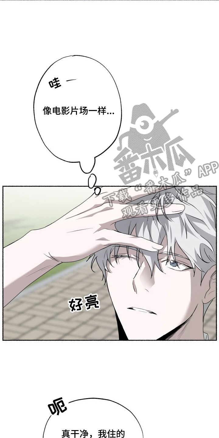 心跳共鸣漫画,第11章：固执4图