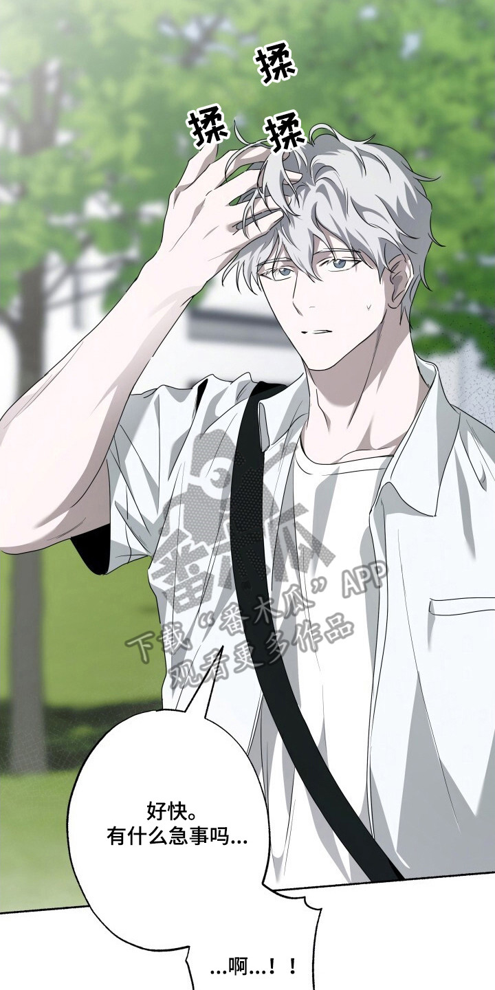 心跳过速的原因及解决方法漫画,第11章：固执3图