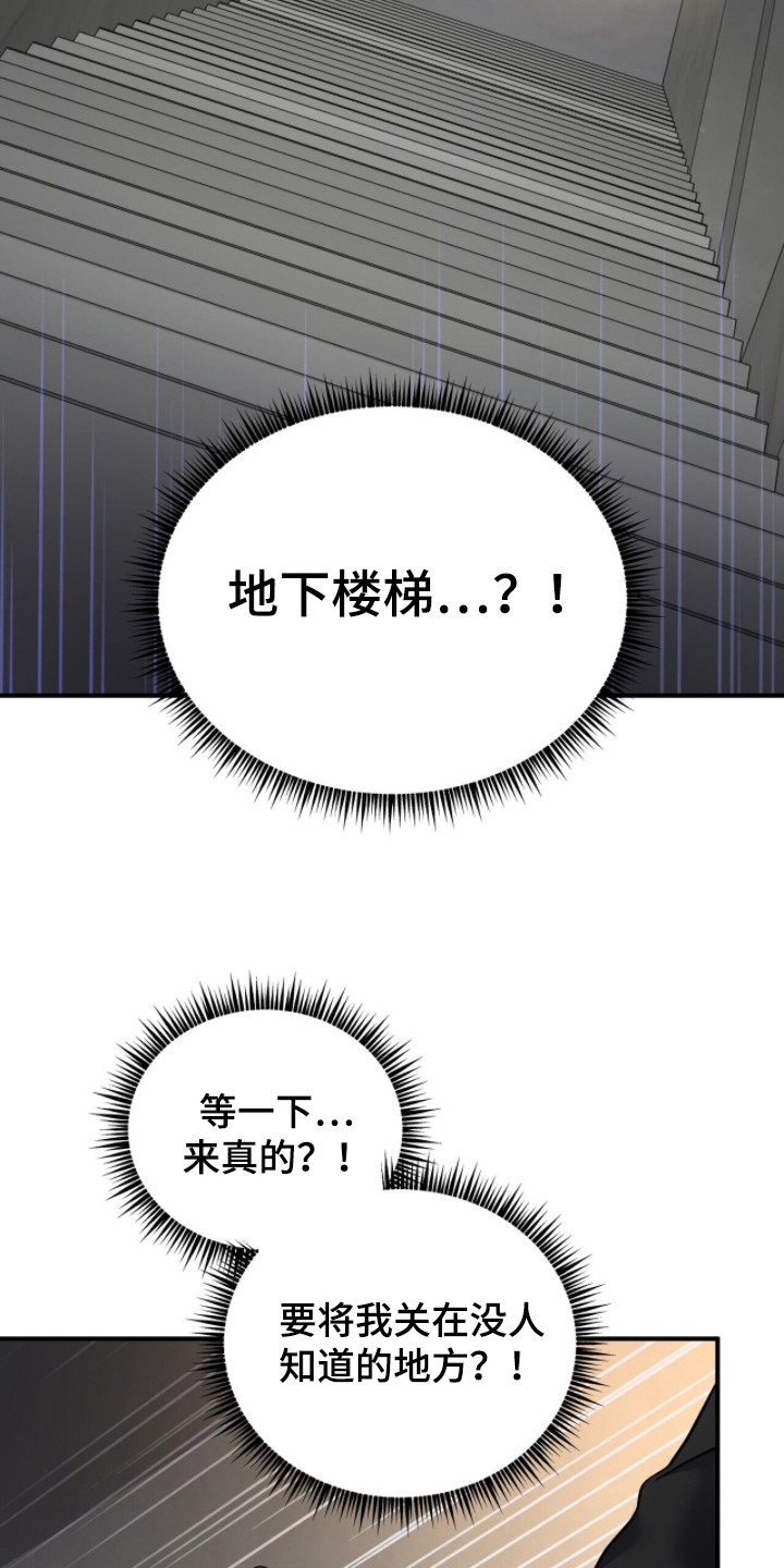 囚徒漫画,第14章：地下室1图