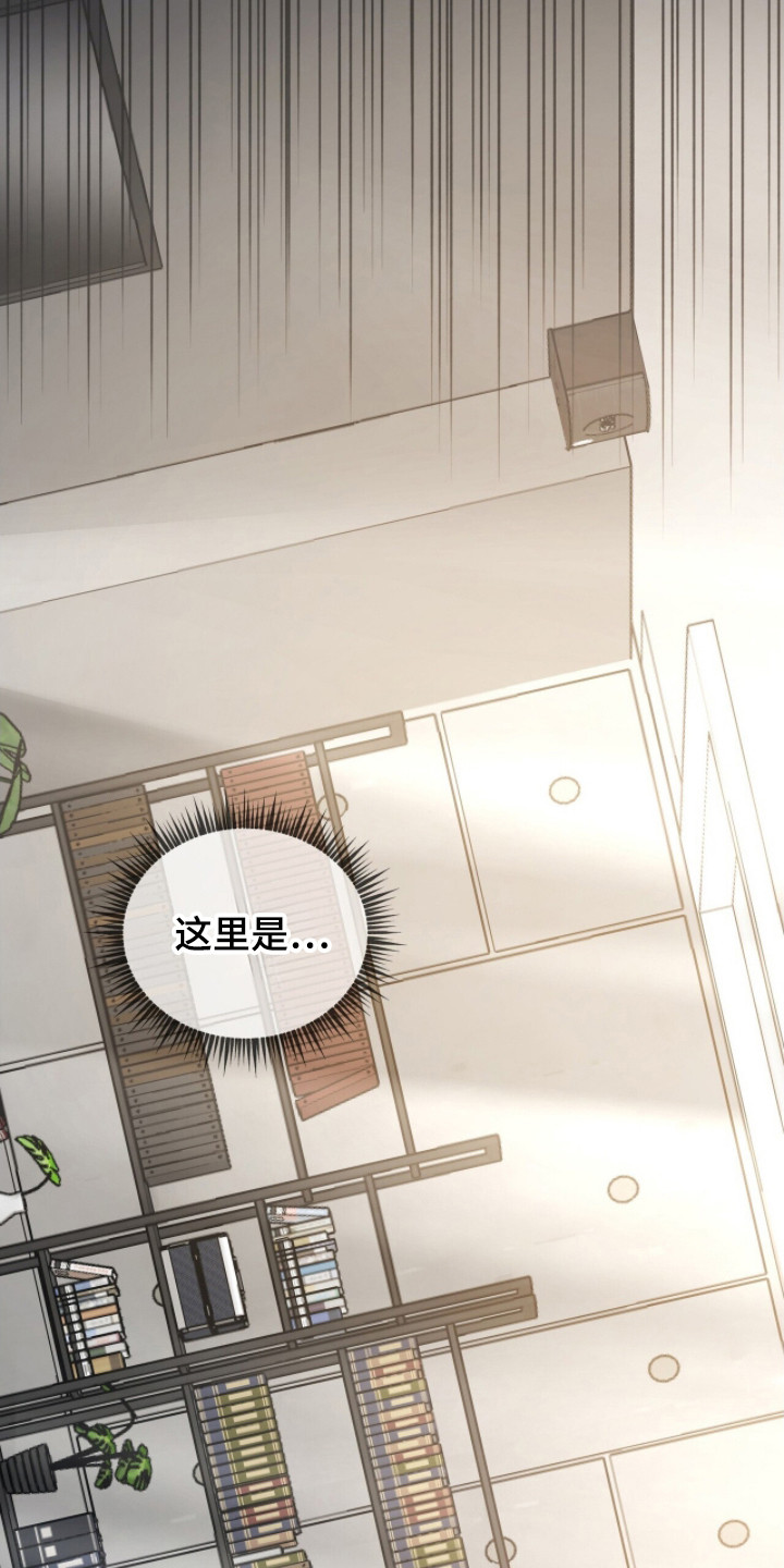 囚徒漫画,第14章：地下室4图