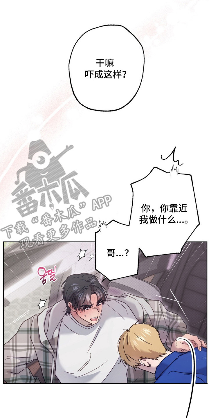 爱情过敏原漫画,第3章：太近了5图