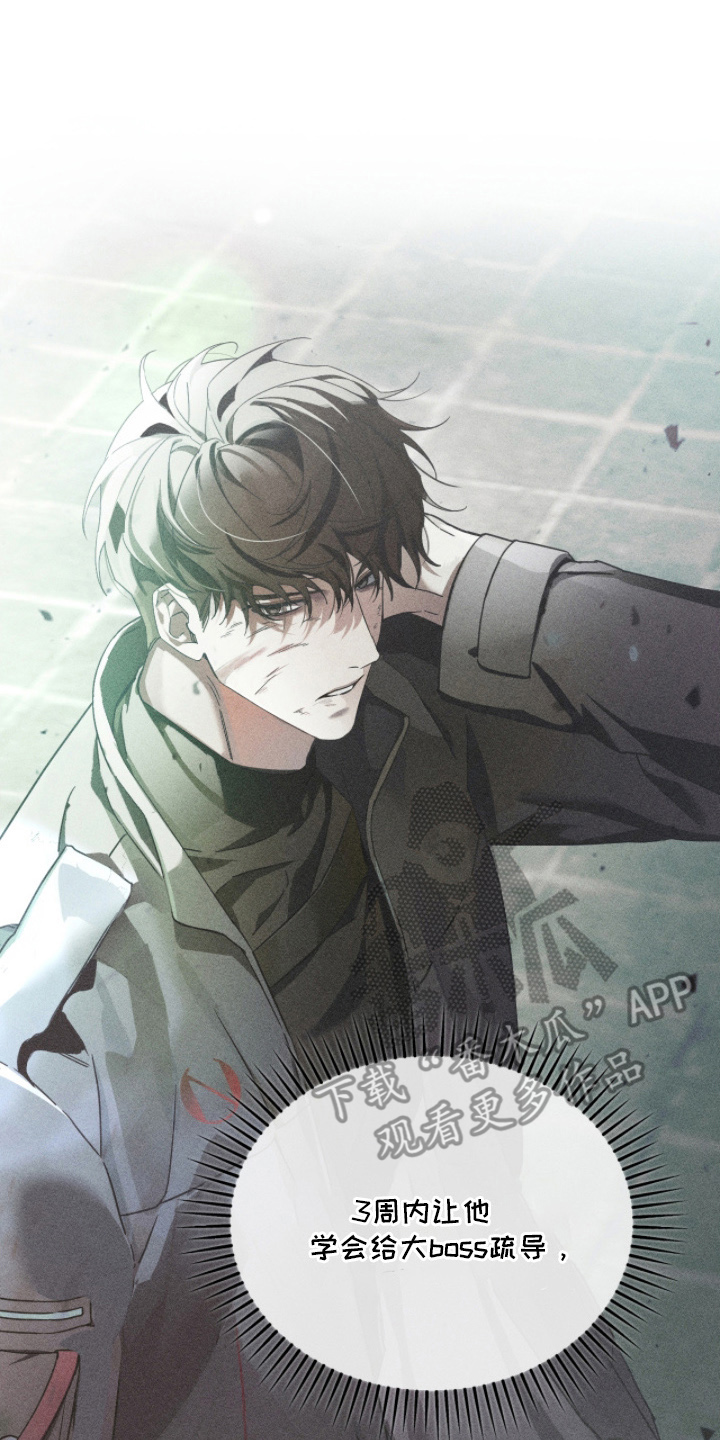 不科学御兽漫画,第14章：三周时间3图