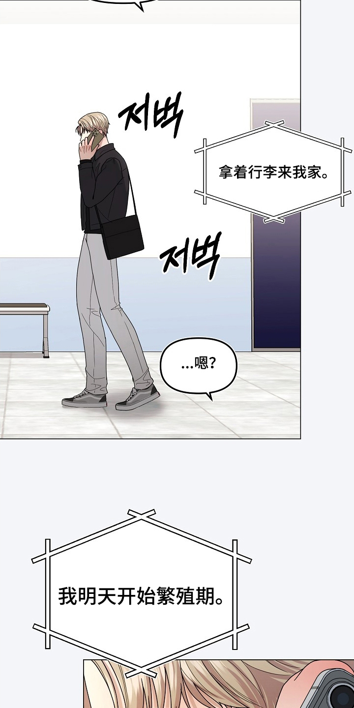 胸口刻印的名称漫画,第8章：繁衍期5图