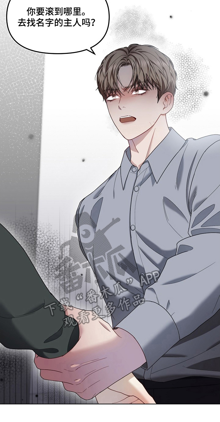 胸口刻印的名称漫画,第2章：是我的名字吗4图