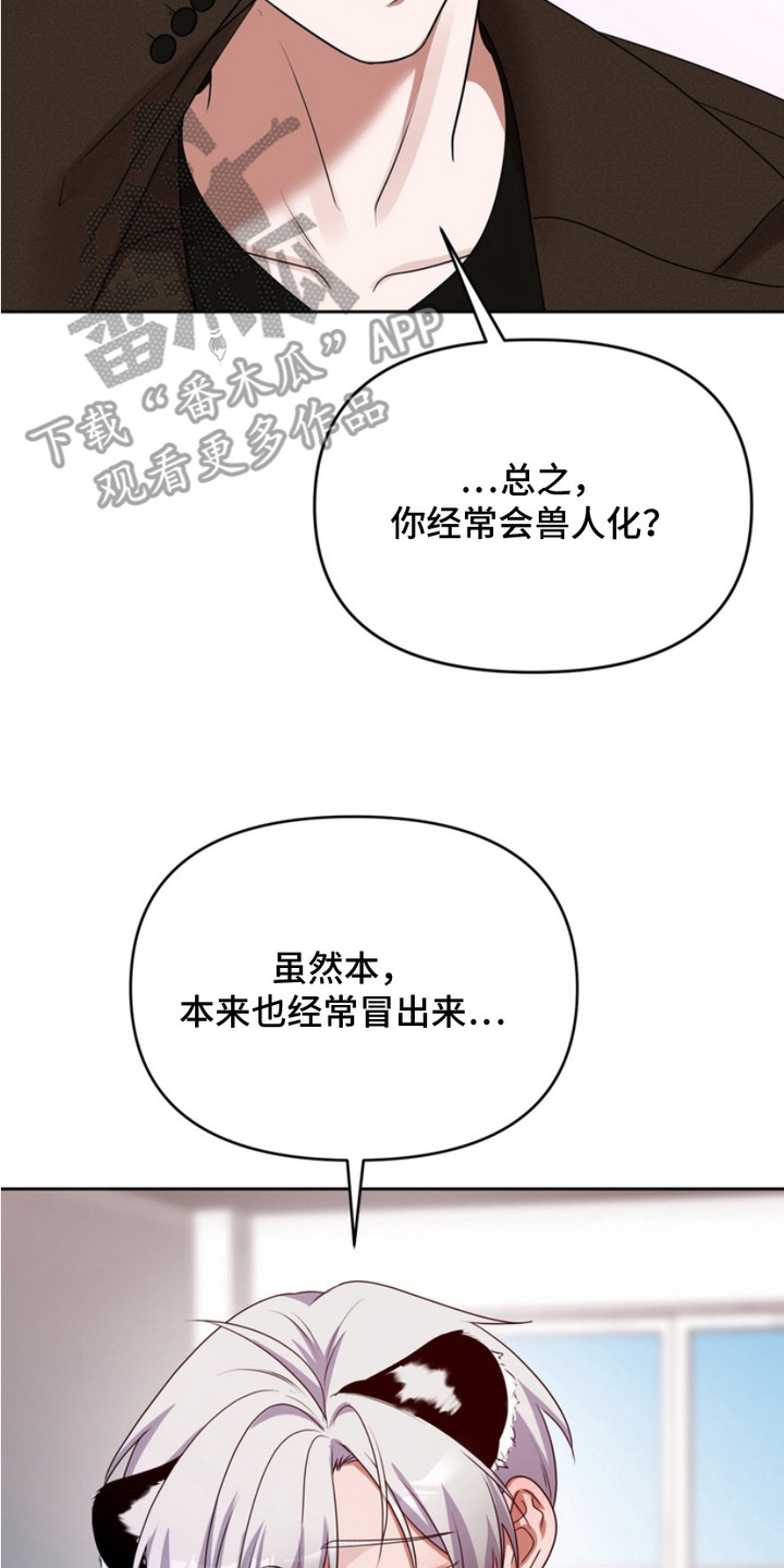 虎啸龙吟漫画,第7章：任何事5图