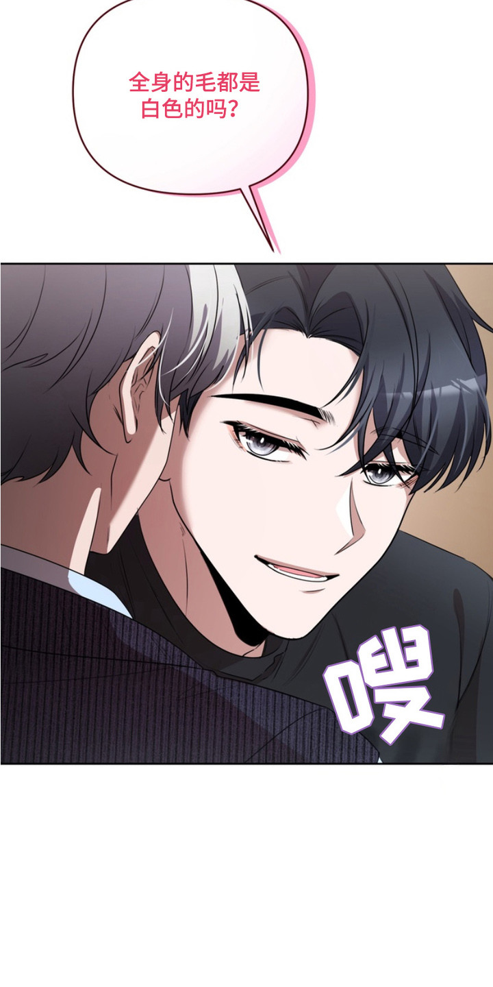 虎落兔口漫画下拉式奇漫屋漫画,第3章：盯着看1图