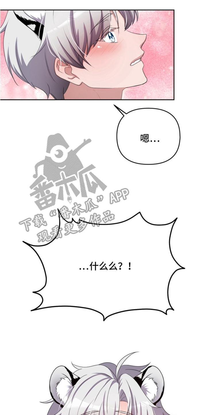 虎落兔口漫画下拉式奇漫屋漫画,第3章：盯着看2图