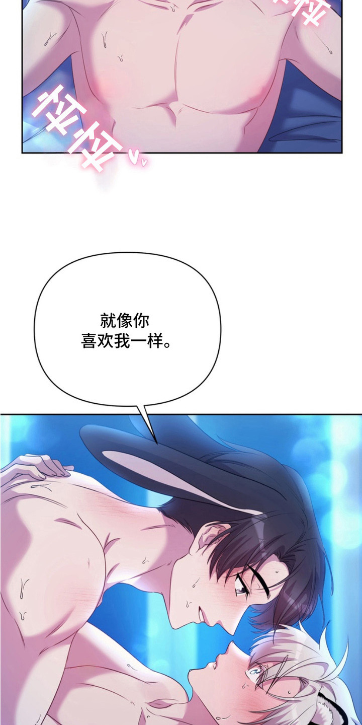 虎落兔口漫画下拉式奇漫屋漫画,第13章：表白5图