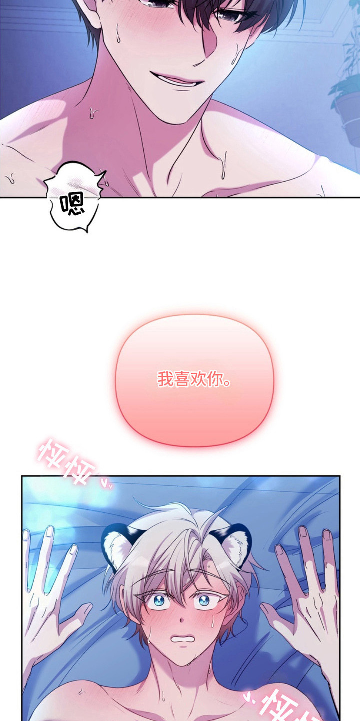 虎落兔口漫画下拉式奇漫屋漫画,第13章：表白4图