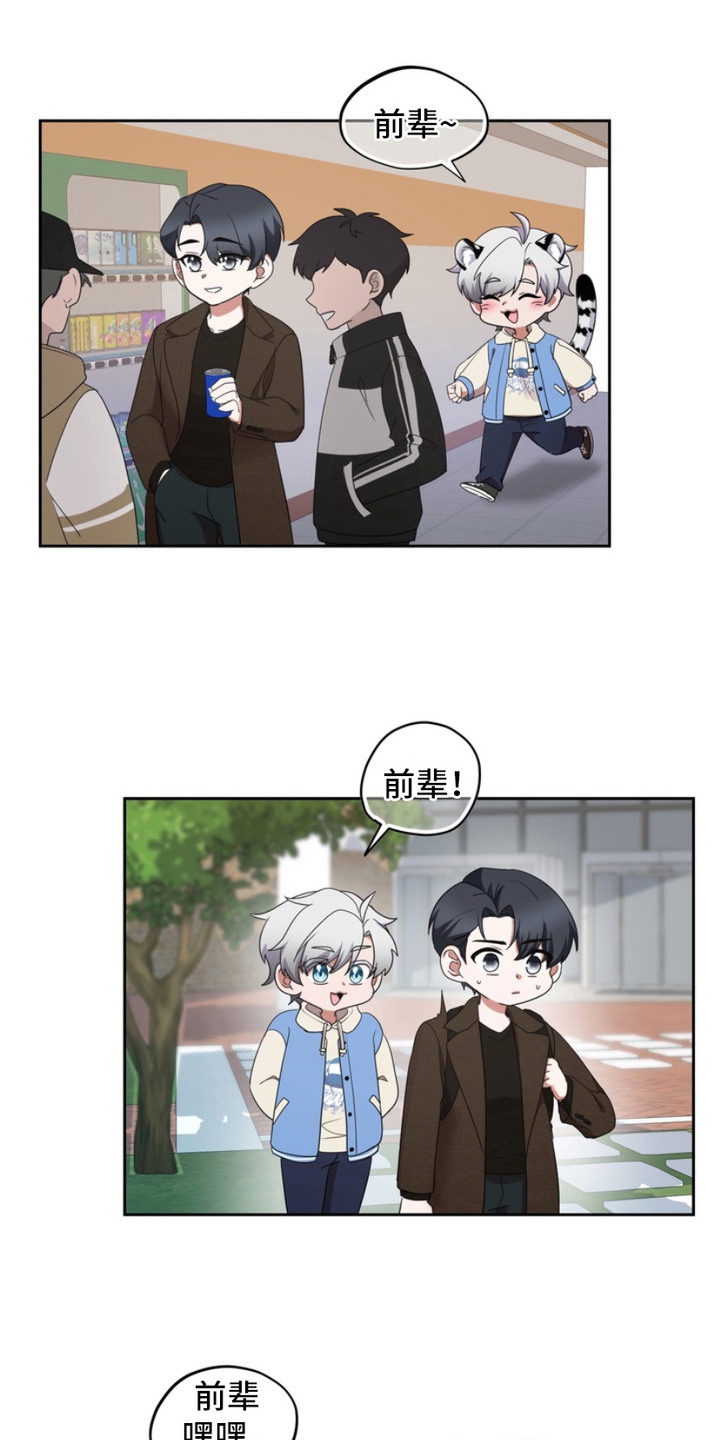 虎最不宜住几楼漫画,第6章：跟屁虫5图