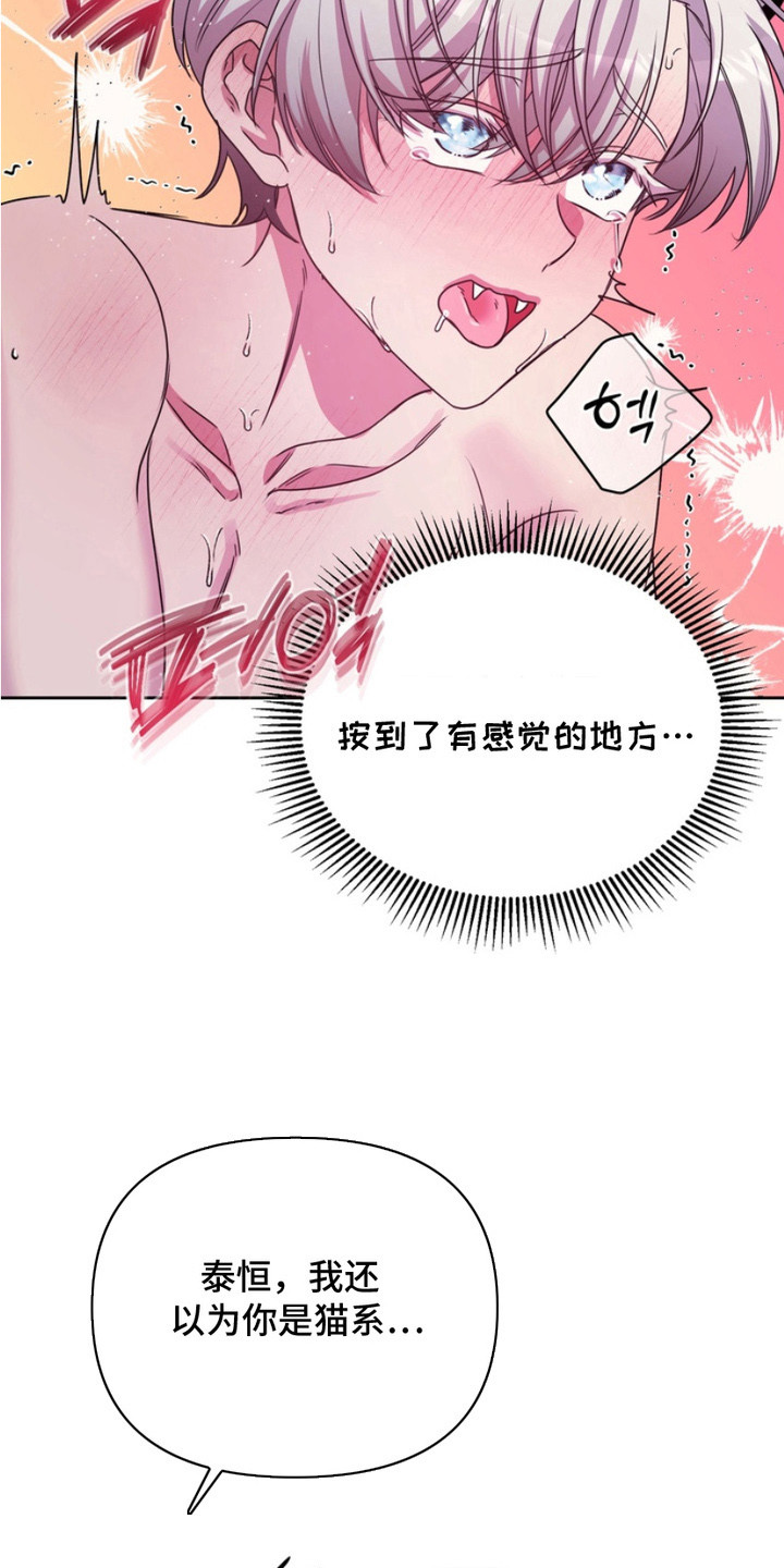 虎落兔口漫画下拉式奇漫屋漫画,第13章：表白5图