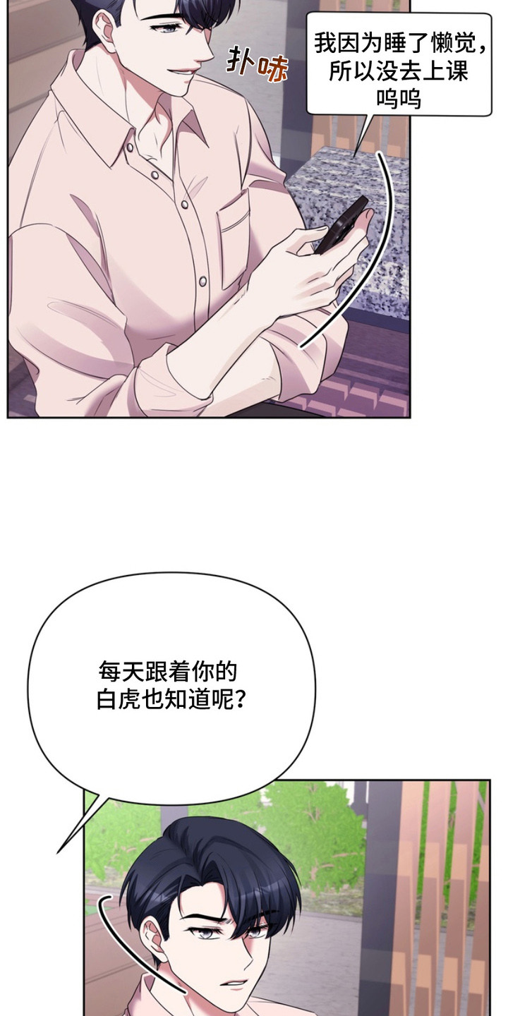 虎最不宜住几楼漫画,第10章：议论1图