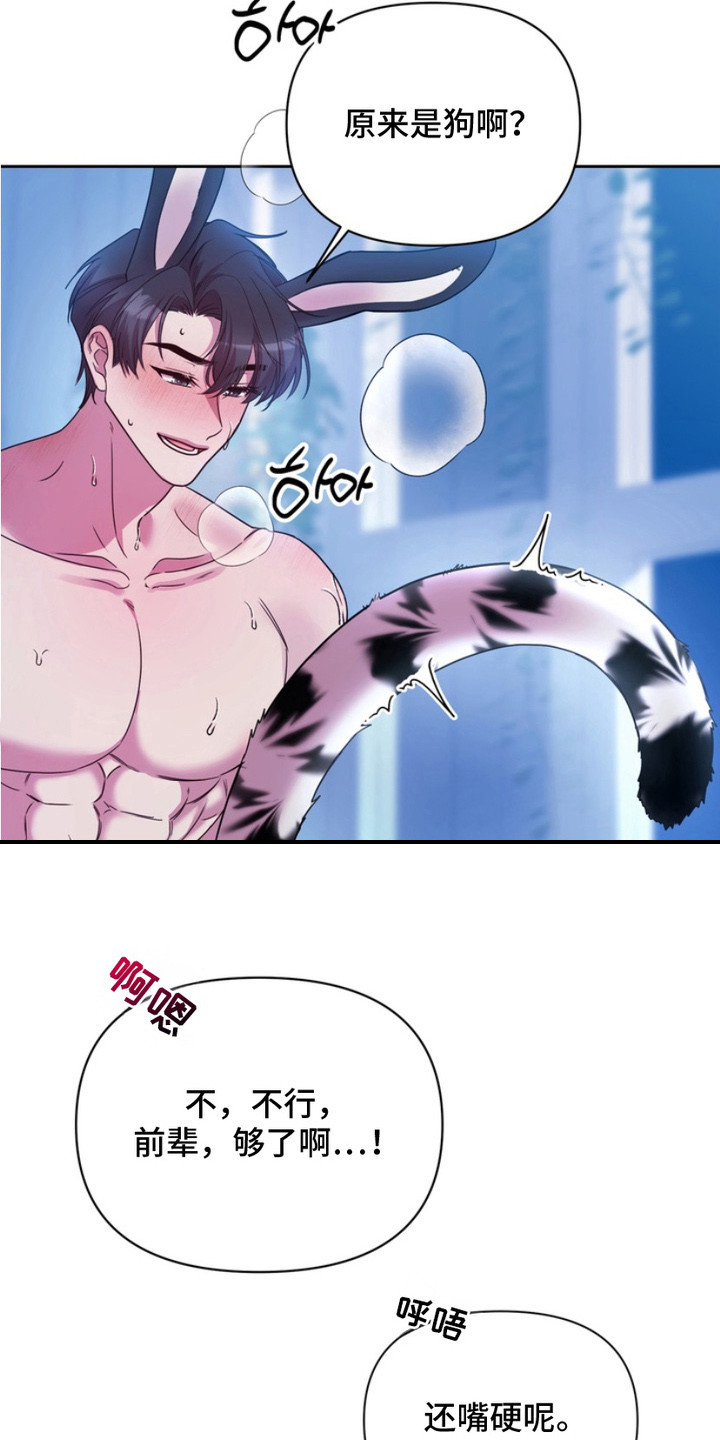 虎落兔口漫画下拉式奇漫屋漫画,第13章：表白1图