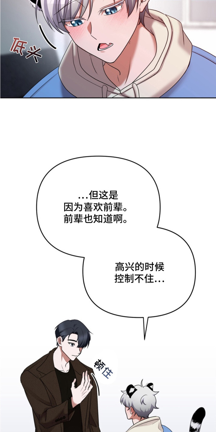 虎啸龙吟漫画,第7章：任何事1图