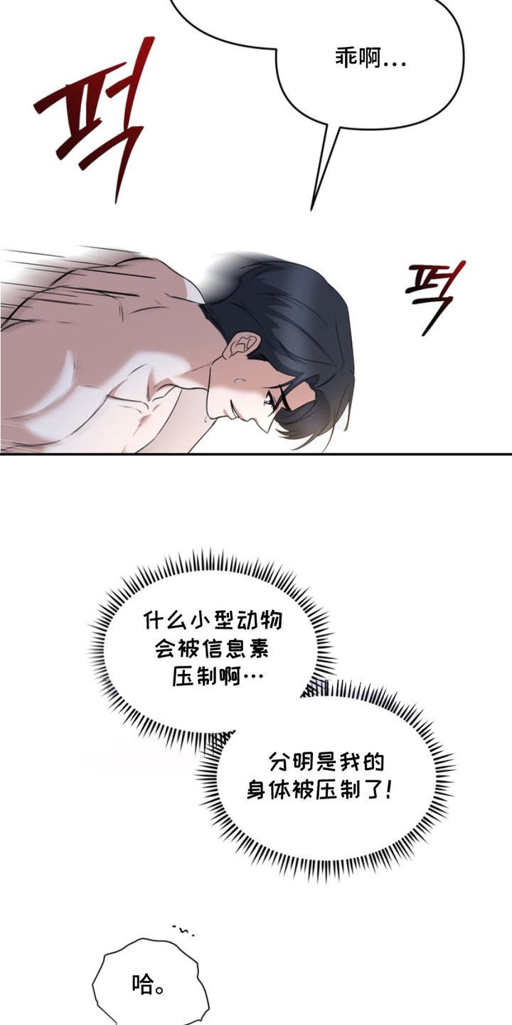 虎落平阳下一句漫画,第5章：拜托你了1图