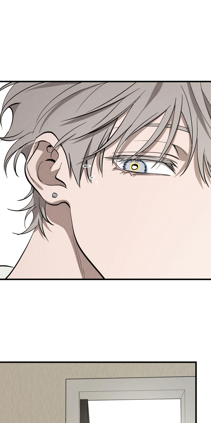 第9章：路边的石头4