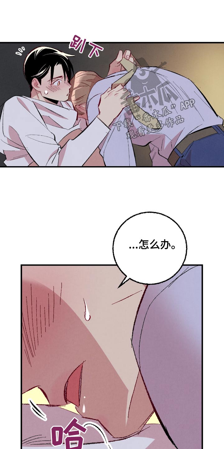 完美伴侣漫画,第186章：【第二季】因为喜欢你3图