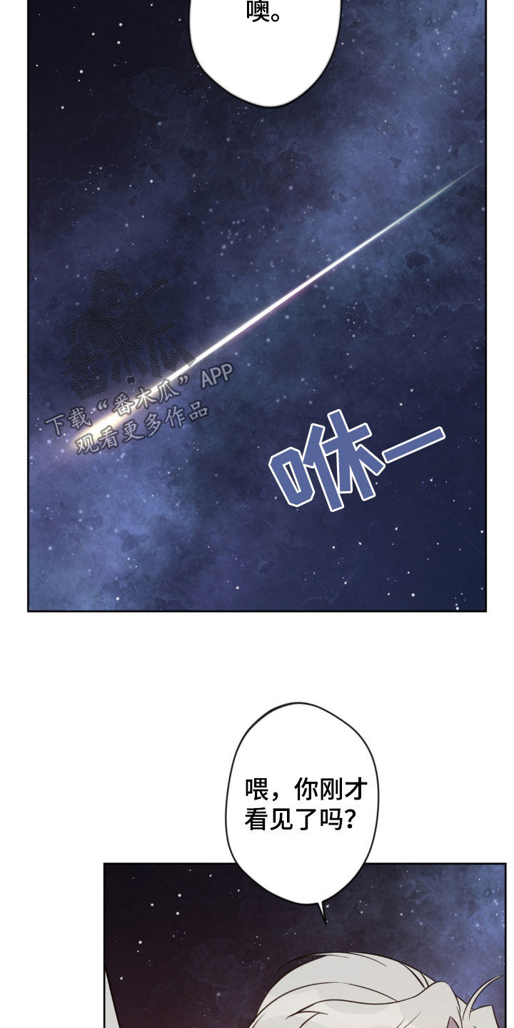 圣天使有哪些漫画,第34章：看星星1图