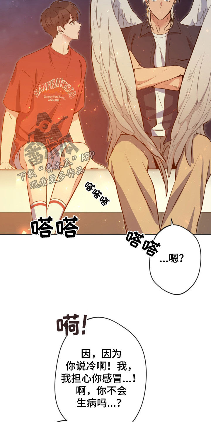 圣天使有哪些漫画,第34章：看星星4图