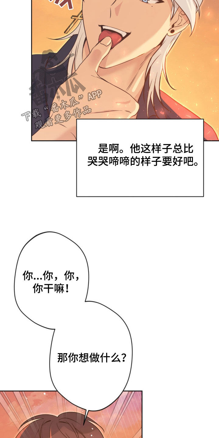 圣天使有哪些漫画,第34章：看星星4图