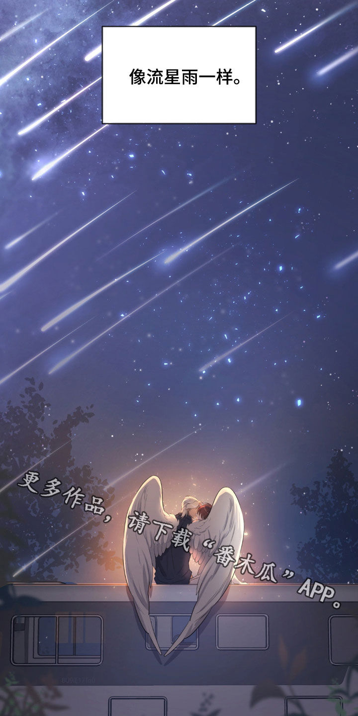 圣天使有哪些漫画,第34章：看星星4图