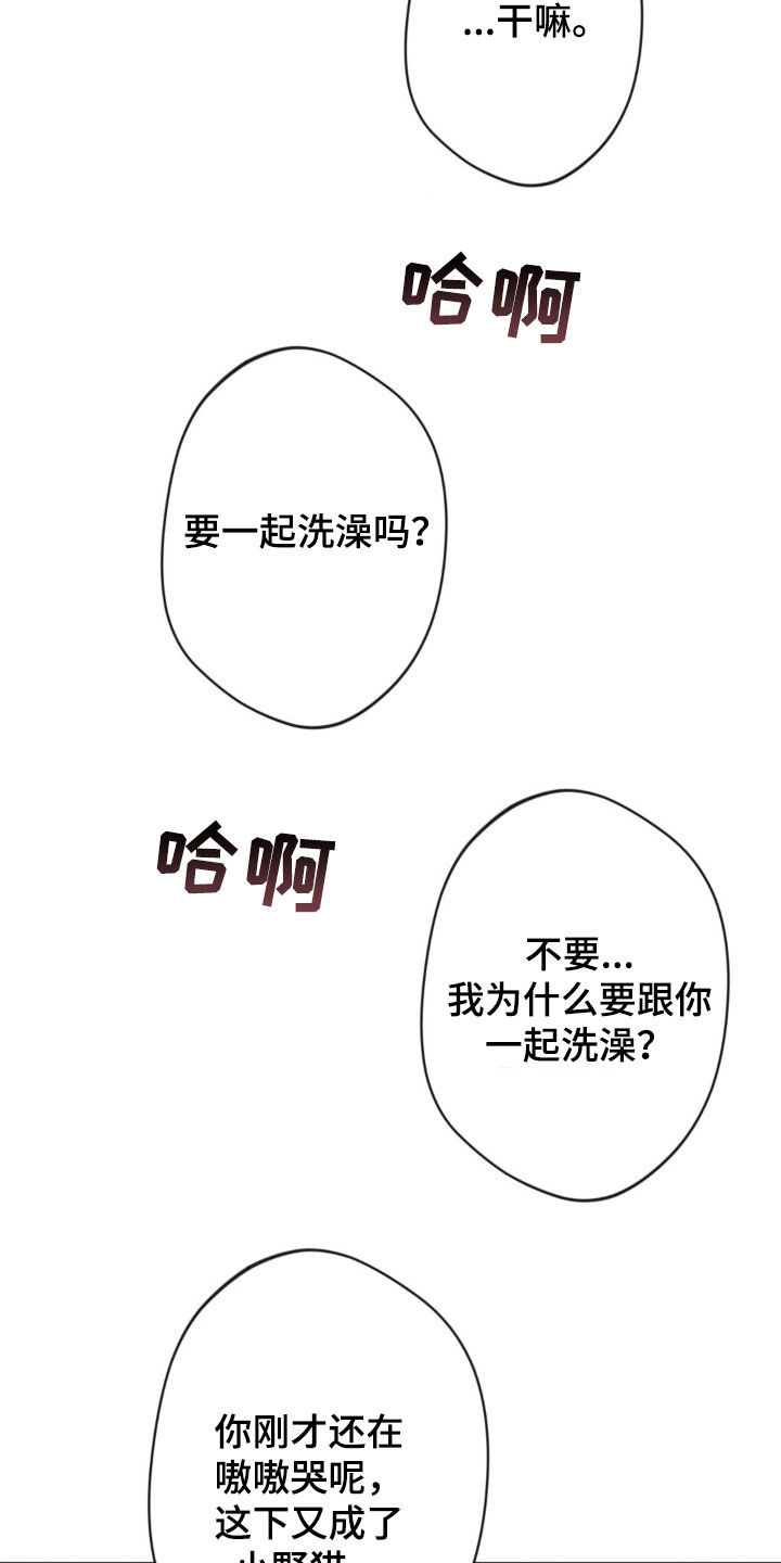 天使圣剑阵容搭配漫画,第28章：正确的5图